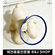 넥카라 투명카라 반려동물목보호대 강아지고관절 강아지꼬깔모자 (M사이즈), 1개, 낱개