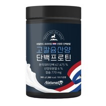 고칼슘 산양단백 프로틴 네덜란드 프리미엄 고트밀크 프로틴 분말 가루 파우더 분리두단백 산양유분말 칼슘 산양유청단백 쉐이크 먹는법 어린이 갱년기 온가족 운동 헬스 전후 추천 네추럴, (1통), *고칼슘 산양단백 프로틴 360g