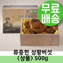 국내산상황버섯 뽕나무 베타글루칸 장수상황버섯 진액 엑기스 약용버섯 상황버섯술 목질진흙버섯 500g