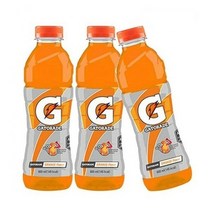 게토레이병 이온음료수 게토레이 오렌지 600ml 20개 2181650
