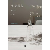 네 눈물을 믿지 마:김이정 소설집, 강, 김이정
