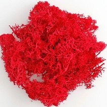 스칸디아 이끼 모스 액자 실내공기정화식물20g 인공 식물 영원한 생명 이끼 정원 홈 인테리어 벽 DIY 꽃 재, 02 2