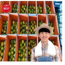 부산 대저토마토 2.5kg 5kg 단짠토마토, 프리미엄 대저토마토 2.5kg S~M