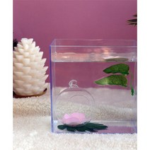 버블 유리볼 유리구 물고기집 베타침대 베타어항 은신처, 8x8cm연두