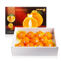 [익산원예농협] [농협공판장] 정성드린 GAP인증 제주 한라봉세트 3kg(12과내), 상세 설명 참조