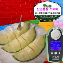 메론 머스크 고당도 멜론 고당도과일 과일 명절 선물세트, 1박스, 2kg 1과