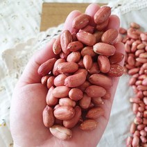 [산지직송] 좋은물과 흙이 만들어낸 땅콩! 22년 여주 햇 볶음 땅콩 300g, 1개
