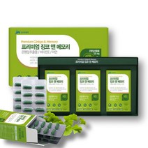 프리미엄 징코 앤 메모리 은행잎효능 혈액순환영양제 90캡슐, 단품, 징코 앤 메모리 90캡슐