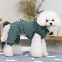 아이앤엘인스퍼레이션 강아지 겨울 패딩 올인원, MINT