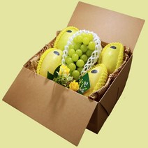 넘치는바구니카라바오 망고 혼합 과일 선물세트(망고샤인머스켓)5호 -인증