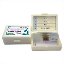 영구프레파라트 암석박편 퇴적암(4pcs)