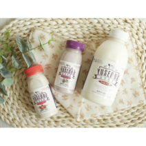500ml 1000ml 수제 아기 요플레 요거트 유산균 플레인 대용량 농후발효유, 1병