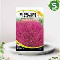 솔림텃밭몰 적뎁싸리 1g 뎁싸리 꽃씨앗 종자 관상 조경용, 단품