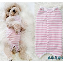 강아지 수술복 환견복 중성화후 보호 오버그루밍 A02, 라이트 그레이