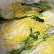 해남 직거래 농민 장터 절임배추 절인 김장 농협 20kg, 수요일 출발->목요일도착” class=”wr-img”></a></div>
</div>
</div>
</div>
<div class=