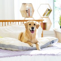 펫테일 올독방석 강아지 방석 애견 쿠션 극세사 면 소중대형견, 극세사-핑크