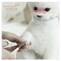 컴포트 강아지투명입마개 베리 S, 챠콜