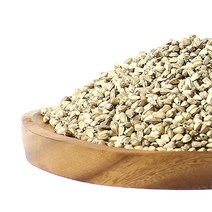 두손애약초 볶은홍화씨, 300g, 1개