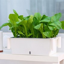 식물재배기 텃밭가꾸기 수경재배기 상추 바질 방울토마토 깻잎 야채 키우기 세트 가정용 스마트팜 발코니 베란다 옥상 수경재배 화분 2단 3단, (3단)