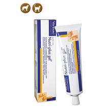 식욕부진 강아지용 젤리타입 종합영양제 사모예드 비숑 개영양제 휴대성