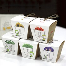 그린패밀리 허브바질 99.9 싹이나는 화분, 단품