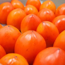 [더조은푸드] [더조은] 영암 산지직송 대봉감 4.5kg(22-25과), 상세 설명 참조
