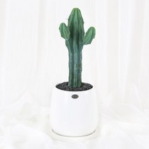99플라워 (당일수령) 인테리어 미니 선인장 [ST-D738] - 승진 관엽 축하 화분 공기정화식물 배달, 1개
