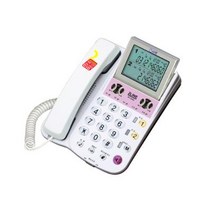 2라인발신자전화기 (RT-2000) (개) 135239, 모델명/품번