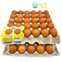 [에그웰] HACCP인증 무항생제 계란 농장직송 신선 대란, 대란60구, 3120g 이상