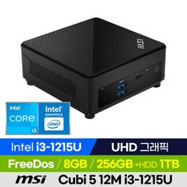 MSI Cubi 5 12M i3-1215U 미니PC 베어본 가성비 산업용 소형컴퓨터, 8GB, 윈도우 미포함, 1280GB