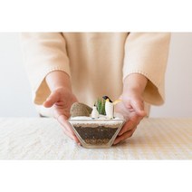 원데이클래스 테라리움 키트 만들기 첫눈맞은 펭귄, 1개