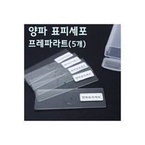 (GS)양파표피세포 프레파라트(5개입)