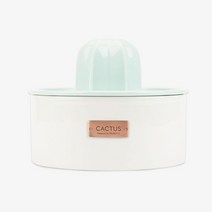 프로젝트21 선인장 젠에디션 고양이 강아지 정수기 세라믹 음수대 음수기 저소음 물분수 물분수선인장 232002, 정수기+필터+드라이매트