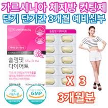 40대 50대 중년 여성 주부 뱃살 다이어트 가르시니아 캄보지아 나잇살 시니어 노년 노인 처진뱃살 하비 보조제 여름 휴가 살빼는 방법 예신 예비신부 결혼 준비 체중 감량 살빠지는