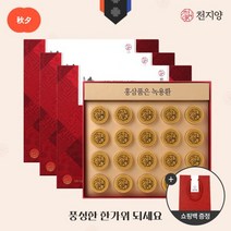 [천지양] 홍삼품은 녹용환 20환 x 3박스(총 60환)+쇼핑백, 3개, 단품