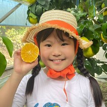 [후기보장] 제주 서귀포 햇 황금향! 꿀당도 가정용/선물용 추석선물세트, 1박스, 황금향5kg 로얄과(선물세트)