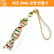 자체브랜드 비즈DNA 모형 만들기(10인세트)