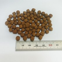 이탈리안그레이하운드 반려견밥 기호성 애완견밥 강쥐 이유 임신견 회복