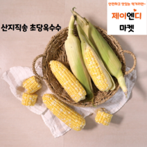 [5월10일 첫 출하] 100일의 기다림 초당옥수수 16cm이상 특품 5개 10개 예약, 15개