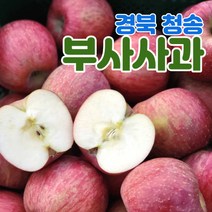 산지직송 경북 청송 사과 부사 5kg 10kg 가정용 정품 중소과 중과 대과, 정품용_부사, 5kg_대과