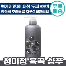 청미정 흑곡 샴푸 500ml 극 지성 지루성 두피 염 검정콩 보리씨 추출물 냄새 잡는 천연 사춘기 건조 모발 환절기 머리카락 자연 유래 임산부 아기 샴프 삼푸 프리미엄 기능성 정품, 4개입