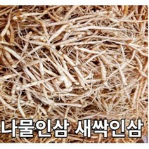 인삼나물 인삼무침 파삼 인삼요리 파지인삼 새싹인삼 새싹삼 새싹 인삼반찬용, 나물인삼 1kg