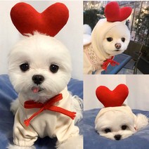 강아지 고양이 옷 애견 의류 (하트L)
