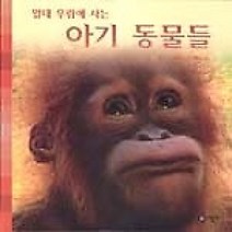[개똥이네][중고-상] 열대 우림에 사는 아기 동물들