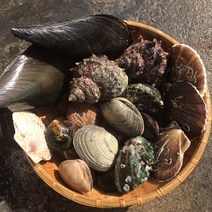 조개탕수산물 어패류 세트 (6종)1kg 제철 캠핑모듬조개 해산물 바지락 째복 명주 갈미 백합조개 백상합 모시 뿔소라 대왕 참가리비구이 키조개 전복 삐뚤이소라 밀고동 돌조개 흠스수산, 1개, 3kg