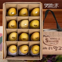 [맛있는 ]카라바오 생망고 선물세트[칸막이/부직포가방], 06.망고 5kg(20과)+부직포가방