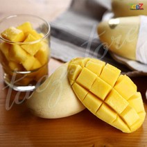 카라바오 필리핀 망고 M6과 1.5kg 선물용 맛있는망고, 단품