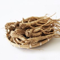 강원도 3년금 사포닌 성분 2배 함류 건강 약도라지, 약도라지(대) 2kg