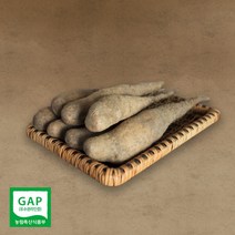 흙향기 우수농작물 마 안동마 산마 참마 산약 생마 햇마 3kg 5kg, 산마 중품 3kg, 1개
