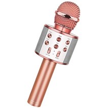 가정용 코인노래방 기계 휴대용 길거리공연 찬양 반주기 부스 3d 베이스 무선 노래방 마이크 bluetooth micro karaoke home for music player, 초록